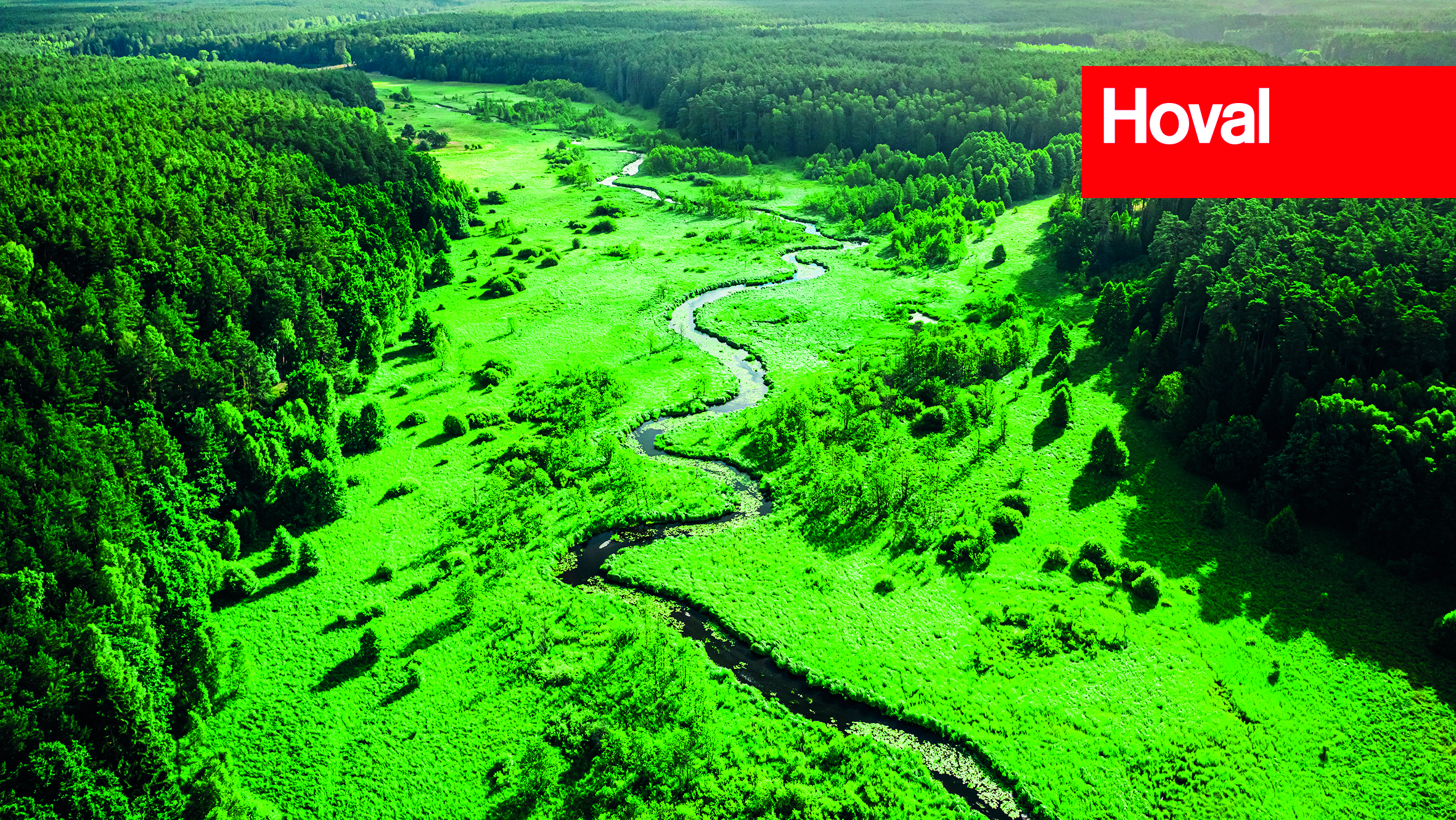 Stunning small river and forest in summer, aerial view, Poland